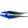Apprêt bijoux 10 plumes de coq bleu noir 13/16mm 