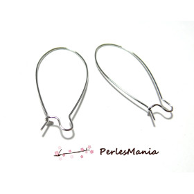 Lot de 20 Boucles d'Oreilles Dormeuses – Acier Inoxydable