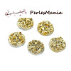 PAX 50 cabochons plat druzy, drusy ronds 12mm S1176702