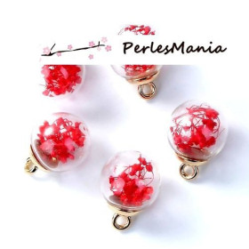 Pendentifs Globes Bulles en Verre avec Fleurs Séchées Rouges