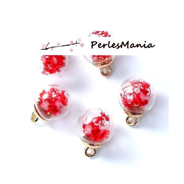 Pendentifs Globes Bulles en Verre avec Fleurs Séchées Rouges