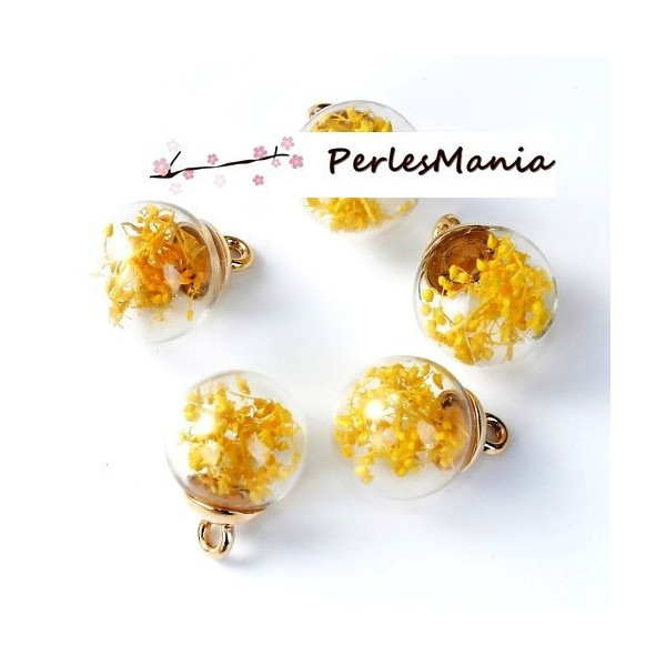 Pendentifs Globe Bulle en Verre Fleurs Séchées Jaunes