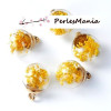 PAX 5 pendentifs GLOBES BULLES EN VERRE avec FLEURS SEICHEES JAUNES S1187799