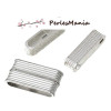 PAX 2 SET DE FERMOIRS MAGNETIQUES ARGENT VIF S1152898