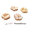 PAX 4 magnifiques fleur de nacre sculptée ROSE 10mm  S1129698