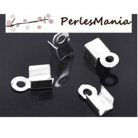 PAX 500 GRIFFE Pince ATTACHE RUBAN embouts de finition  9 par 4mm Argent Vif  serre fils S1114896