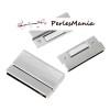 PAX 2 SET DE FERMOIRS MAGNETIQUES ARGENT PLATINE S1152930