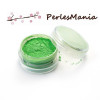 Boite poudre de Paillette pour Création RESINE couleur VERT S1192369