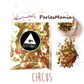 paillettes sequins   pour créations en résine, nail art, scrapbooking, pinata S1149944