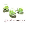 Pendentifs charms Globe Bulle Verre Étoile Vert Pastel Socle Argent