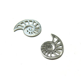 Pendentifs Connecteurs Coquillage 14mm – Acier Inoxydable Argenté