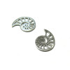 Pendentifs Connecteurs Coquillage 14mm – Acier Inoxydable Argenté