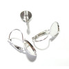 BN1135364 PAX 20 pièces boucle d'oreille Dormeuse Plateau  Goutte 10 par 14mm Argent Platine Qualité Laiton