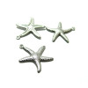 Pendentifs Breloques  Etoile de mer 22mm Acier Inoxydable