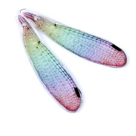 PAX 2 Pendentifs Breloques Aile de Libellule Mulitcolores Resine S1197243