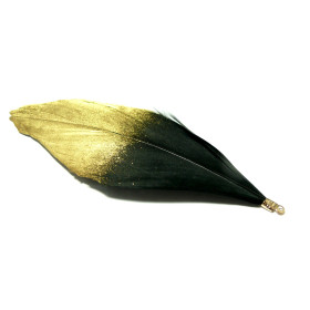 Plumes Naturelles avec embouts doré Noir et Doré