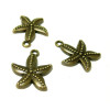 PAX 20 pendentifs breloque Grande Etoile de mer Bronze H315AB