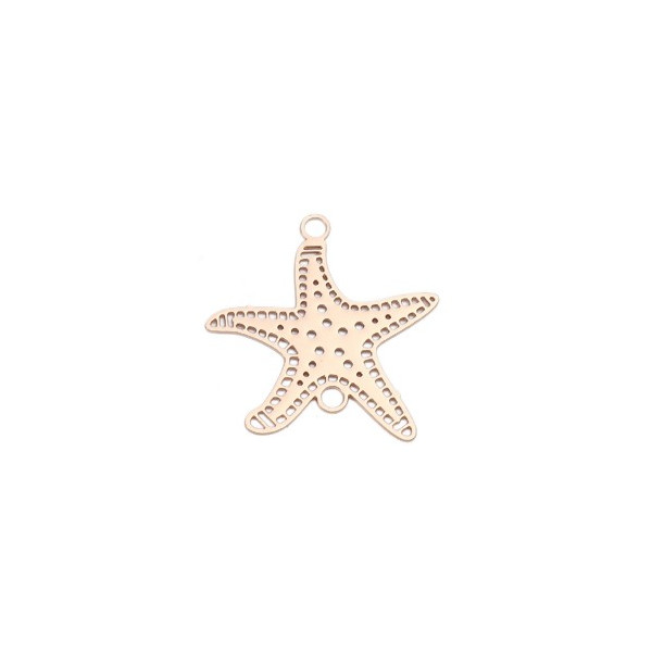 Estampes pendentif connecteur Etoile de mer Argent Platine 21mm