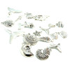 S11209641 PAX 21 pendentifs thème Océan,Coquillage, etoile, crabe métal couleur Argent Antique