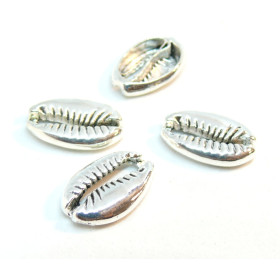 PS110125796 PAX 15 passants Slides Coquillage Grain de café Cauri 19mm métal couleur Argent Platine