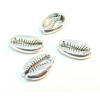 PS110125796 PAX 15 passants Slides Coquillage Grain de café Cauri 19mm métal couleur Argent Platine