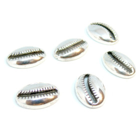 PS110125796 PAX 15 passants Slides Coquillage Grain de café Cauri 19mm métal couleur Argent Platine