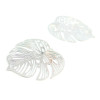 Estampes pendentif filigrane Feuille Montsera 26mm Argent Vif