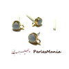 PAX 10 puces Rhinestone avec attache et poussoirs PS1153318