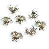Coupelles, coquille, calottes dentelle 14mm, métal couleur Bronze