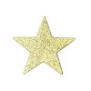 Pendentifs breloques stardust Etoile 23mm métal couleur Doré