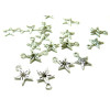 PAX de 50 pendentifs Etoiles métal couleur Argent Antique OB4305 
