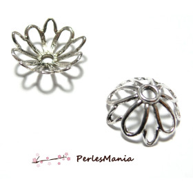 Grandes Coupelles Coquilles Embouts 23.5mm Argent Antique