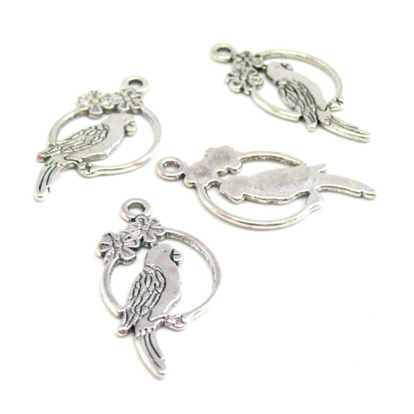 P10187 Lot de 20 pendentifs perroquet  metal couleur ARGENT ANTIQUE