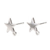 Boucles d’Oreilles Puce Étoile avec Attache – Métal Argent Platine
