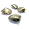 10 breloques bronze coquillage 3D