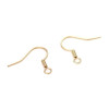 Boucles d'oreille Crochets 20 mm ACIER INOXYDABLE  coloris Doré