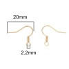 Boucles d'oreille Crochets 20 mm ACIER INOXYDABLE  coloris Doré