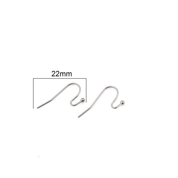 PS11676267PAX 20 Boucles d'oreille Crochets 19 mm ACIER INOXYDABLE 304  coloris Argent Platine