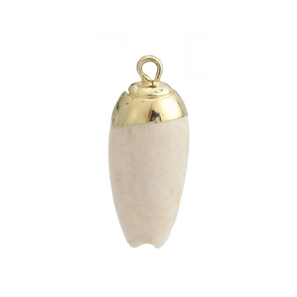PS110200500 PAX 2 pendentifs Coquillage avec liseré Doré 34mm