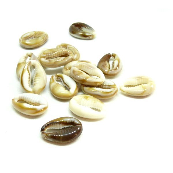 passants Slides Coquillage Grain de café Cauri 18mm Acrylique