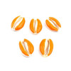 slides médaillons émaillés Coquillage Cauri Orange