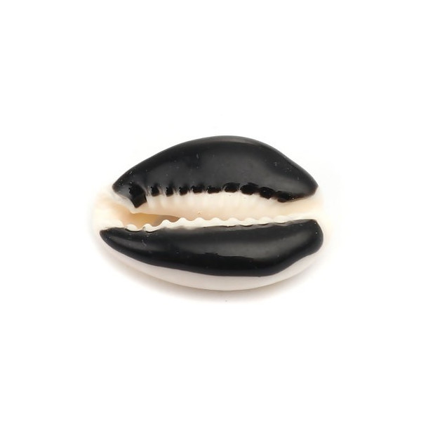 slides médaillons émaillés Coquillage Cauri Noir