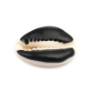 slides médaillons émaillés Coquillage Cauri Noir