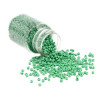 S11706479 PAX 1 Flacon d'environ 2000 Perles de rocaille en verre Vert 2mm 30gr.
