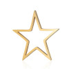 Pendentifs - Etoile - 17 - 18 mm - Doré en Acier Inoxydable  - pour bijoux raffin