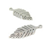 Pendentifs, Plumes Acier Inoxydable couleur Argent Platine