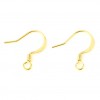 Boucles d'oreille - Crochet 16 mm -  Cuivre - Plaqué Or Gold 18KT