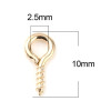Pitons à visser 10 par 5mm métal coloris Or Clair