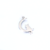 Pendentifs Chat sur Lune 16 mm - Argenté en Acier Inoxydable 304 - pour bijoux raffinés