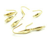 Boucles d'Oreille Crochet 20.5mm – Acier Inoxydable Chirurgical 316 Doré à l'Or Fin 18K